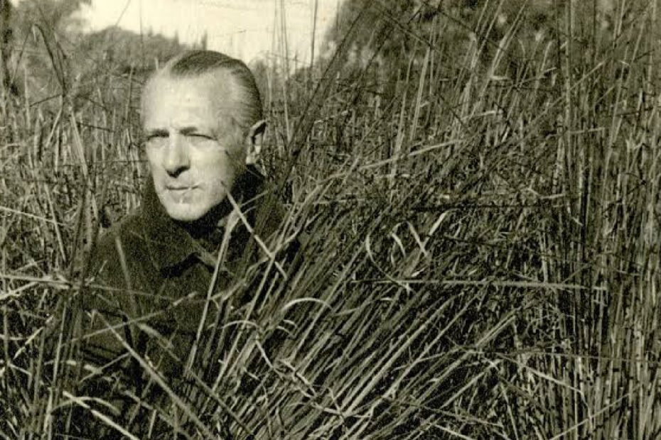 Enrique Amorin. Un comunista en el campo uruguayo